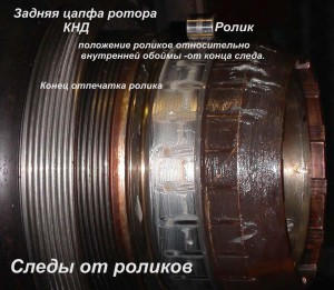 цапфа